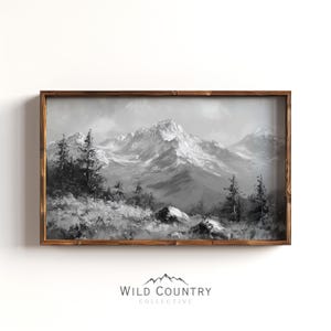 May include: A black and white framed print depicting a mountain landscape with snow-capped peaks and trees in the foreground.