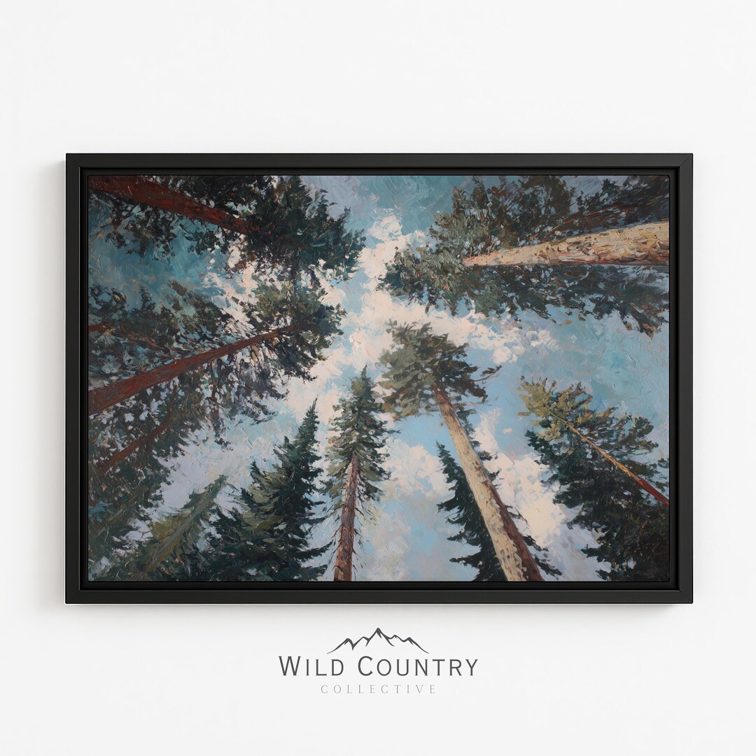 Framed Tall Pine Forest Canopy Canvas Print Upward Tree View Landscape ...