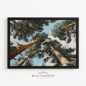 Framed Pine Tree Canopy Canvas Wall Art Woodsy Forest Print Canvas for Living Room Cabin Lodge Decor Large Ready to Hang Framed Forest Art