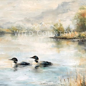 two loon loon swimming in a body of water, surrounded by a serene landscape with mountains in the background.