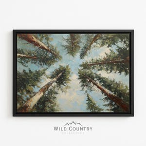 May include: A framed canvas print of a forest canopy, viewed from below. Tall, brown tree trunks reach towards a light blue sky with fluffy white clouds. The artwork is framed in a black border and features the text "WILD COUNTRY COLLECTIVE".