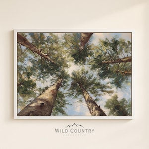 Framed Pine Tree Canvas Print: Nature Wall Art with Tall Trees for Woodland Nursery Decor