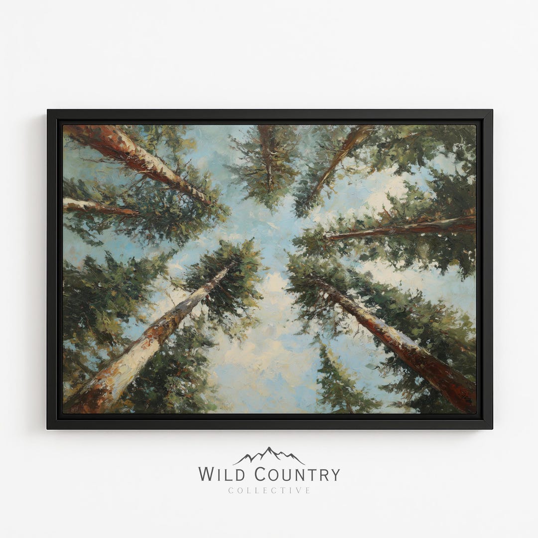 Framed Sunset Pine Tree Canvas Print Landscape Forest View Wall Art for ...