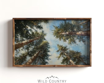 May include: A framed landscape print featuring a view looking up through tall evergreen trees towards a blue sky. The artwork is in a wooden frame and has the text "WILD COUNTRY COLLECTIVE" at the bottom.