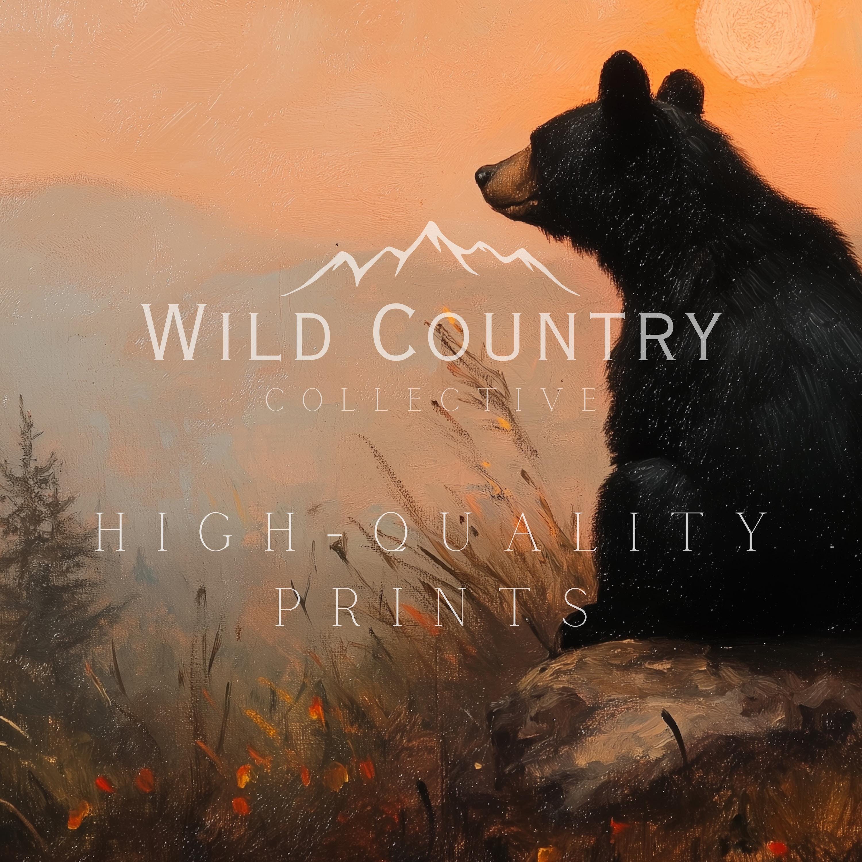 Adorable Black Bear Canvas, Sunset Sky Painting, Bear Cub Painting