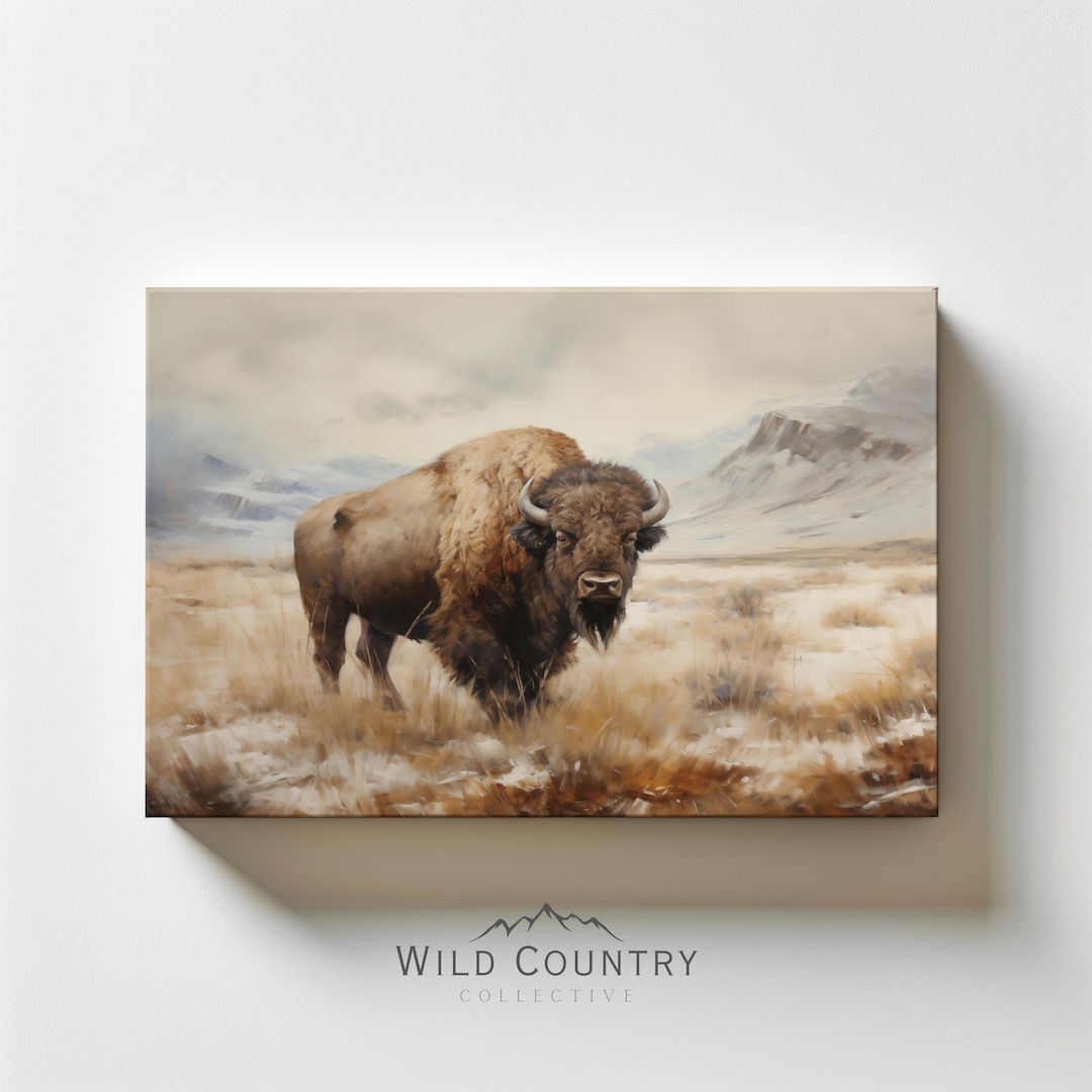 Vintage Buffalo Matte Canvas, American Bison Oil Painting Print on ...