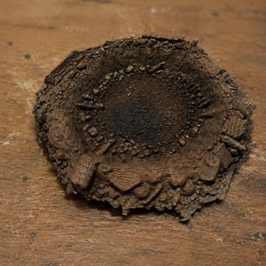May include: A circular, bowl-shaped object with a dark brown, textured exterior resembling rugged terrain or a crater. The surface features intricate, layered ridges and small, irregular protrusions throughout, with a deep, dark center.