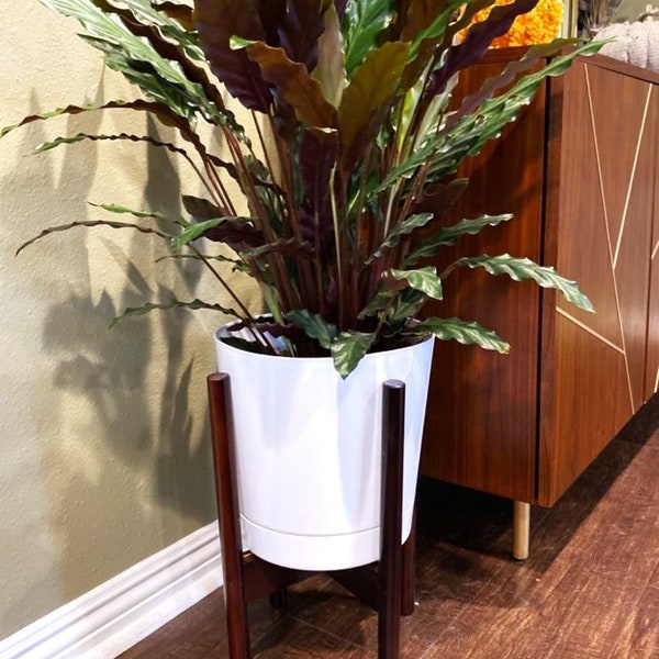 Plant Stand, Excluding Planter Stand Pot, Mid Century modern Plant Stands for Indoor Plants, Indoor Plant Stand, Plant Holder Stand