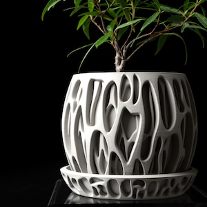 Pode incluir: Um vaso de cerâmica branco, com um design aberto único, contendo uma pequena planta verde. O vaso está sobre um pires a condizer. O fundo é preto, realçando a planta e o vaso.