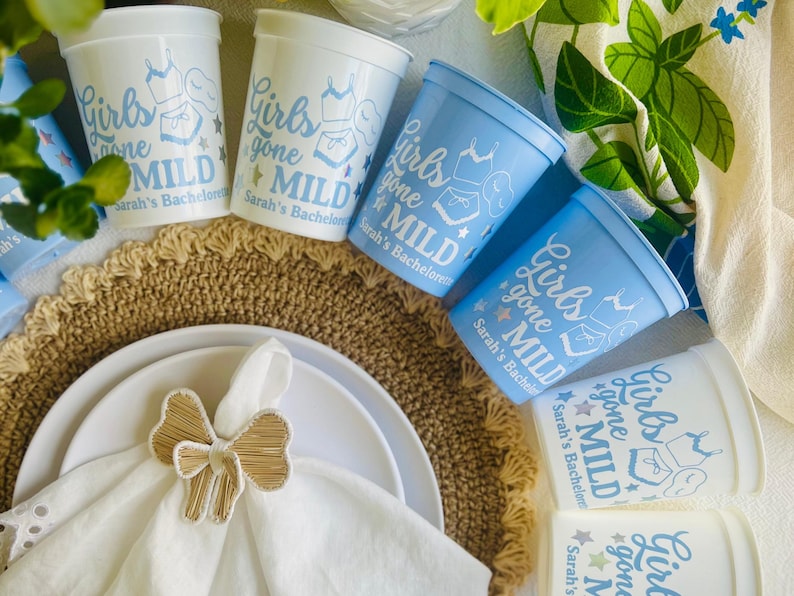 May include: White and light blue plastic cups with the text "Girls gone MILD" and a lingerie graphic. The cups are arranged with white plates, a napkin, and a bow-shaped napkin ring. A decorative placemat is also visible.