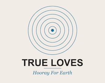 ¡Viva la Tierra! Teoría musical de True Loves (PDF) / Análisis canción por canción del álbum debut / Mapas de formas de bucles de acordes synth-pop