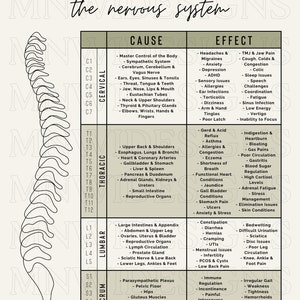 Effects of Subluxation - Nerve Chart - Nervous System Educational ...