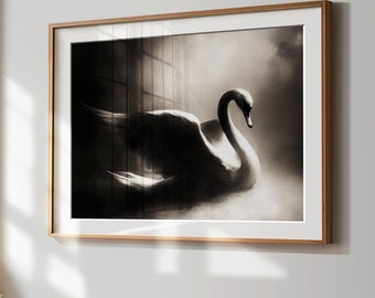 6 枚セットの白黒クロップド プリント | 白鳥のギャラリー ウォール