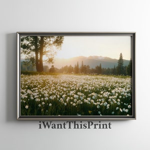 Printable Wildflowers Photography Meadow Art Print, Daisy Field and Mountain Wall Art, Nature Landscape  Wall Art Green Nature Digital Print