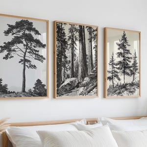 Vintage Tree Sketch Set of 3, Forest Print Farmhouse Art Set, Digital Nature Sketch, Antique Tree Drawings Botanical Art, PRINTABLE Wall Art