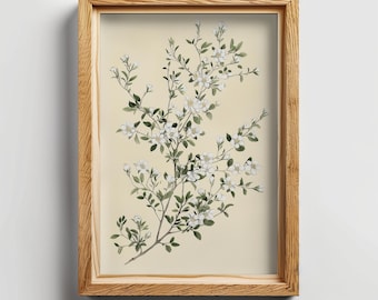 Pintura floral vintage, arte mural imprimible, arte minimalista natural, elegante decoración neutra blanca, impresión artística, descarga digital