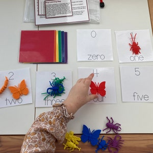 Bug Learning Bag. Busy Bag. Bugs. Fine Motor Skills. Toddler Play ...