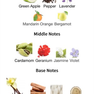 May include: A fragrance composition chart with the words "Top Notes", "Middle Notes", and "Base Notes". The top notes include green apple, pepper, lavender, mandarin orange, and bergamot. Middle notes are cardamom, geranium, jasmine, and violet. Base notes are vanilla, sandalwood, musk, guaiac wood, and patchouli.