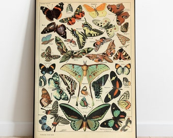Poster artistico vintage con farfalle, arte murale e decorazioni per la casa, poster artistico con illustrazioni classiche, regalo