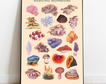 Poster d'arte vintage con funghi, arte murale e arredamento per la casa, poster con illustrazione botanica classica, regalo