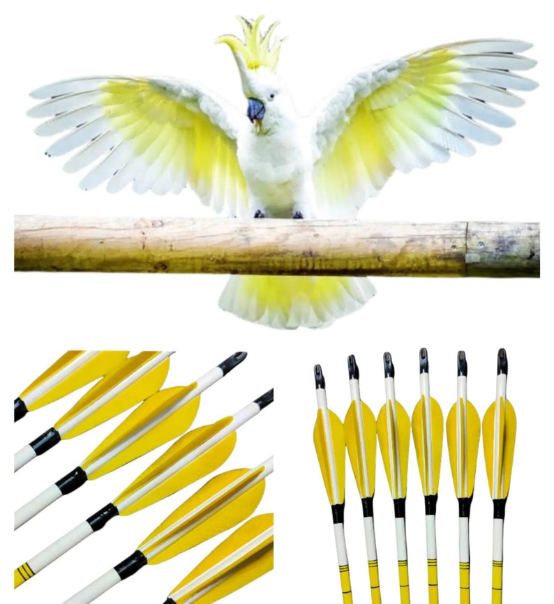 May include: A set of six yellow and white fletched arrows with black shafts. The arrows are arranged in a row, with the fletching facing the viewer. The arrows are designed for archery.