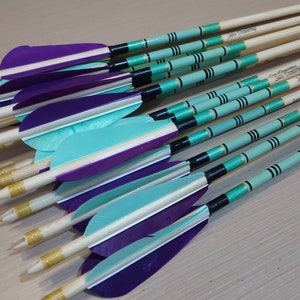 May include: A close-up of a bundle of wooden arrows with teal and purple fletching. The arrows are decorated with black and gold stripes.
