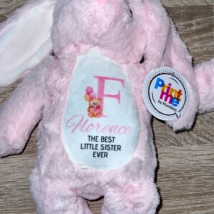 Personalised Big Sister Teddy, Big Sister Gift, Baby Girl Gift, Little ...