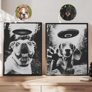 May include: Two black and white photos of dogs in a retro style. The dogs are looking up at a flying disc. The photos are framed in black.