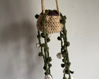 Crochet hanging plant