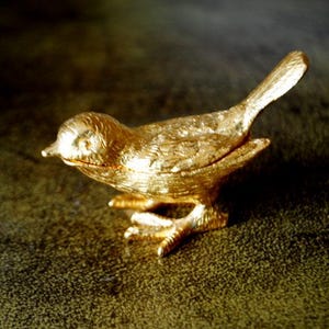Florenza Bird Box - Etsy