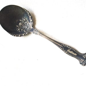 Può includere: Un cucchiaino da zucchero in argento con un design elaborato e un bordo perlato. Il cucchiaino presenta un motivo floreale e la parola "Sterling" incisa sul manico.