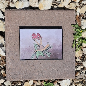 SNAIL Picture 5x7