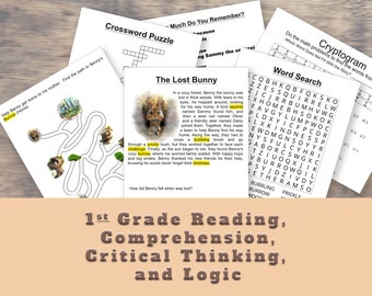 The Lost Bunny - Reading, First Grade Reading Comprehension, Grade 1 Homeschool Curriculum, Grade 1 Reading, First Grade Worksheets