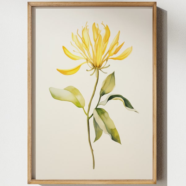Honeysuckle June Birth Flower Watercolor Wall Art Calm Print Simple Nature Design Home Nursery  Mother's Day Gift DIGITAL FILE