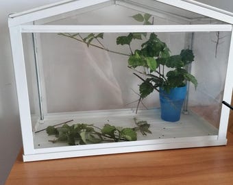Framed Flora: The Picture Frame Greenhouse Guide