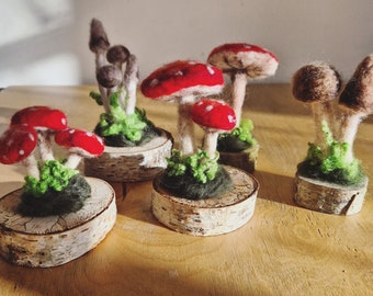 Wild felt mushrooms