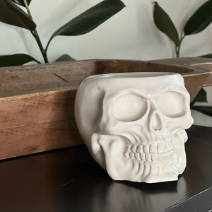 May include: White ceramic skull planter with a detailed design. The skull is sitting on a wooden tray.