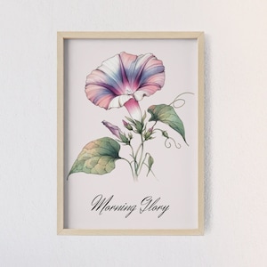 Arte de la pared de la flor del nacimiento de la gloria de la mañana de septiembre - Cartel personalizado del marco de madera, regalo de cumpleaños, decoración de la guardería, jardín de la abuela