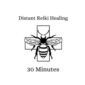 Distant Reiki Healing, 30 minutes image 1