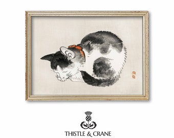 Sleeping Cat | Vintage Japanese Painting by Kōno Bairei | Antique Painting | Printable Digital Download Wall Art | A156