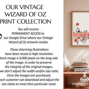 May include: A framed print featuring a Wizard of Oz illustration with a field of red poppies. The artwork is in a wooden frame and is displayed on a beige wall. The text on the image says "OUR VINTAGE WIZARD OF OZ PRINT COLLECTION".