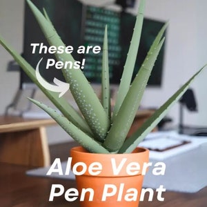 Aloe Plant Pens | Fun Desk Plant Decor