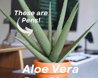 Plumas de plantas de aloe / Decoración de plantas de escritorio divertido