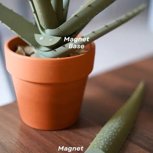 Aloe Plant Pens Fun Desk Plant Decor image 3