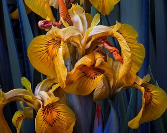 Yellow Irises