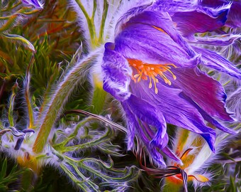 Blue and Green In Bloom