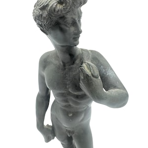 Antique Michelangelo’s David Sculpture | Possibly Bronze Statue