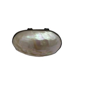 Antique Mother-of-Pearl Shell Box: Victorian Trinket Snuff Box with Brass Mounts