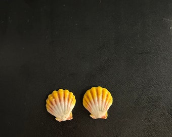 Two matching Hawaiisn  sunrises. Puka#seashell#hawaiisn art#
