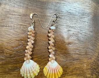 hawaiian sunrise shell earrings, gold filled ear wire, Kahealani shell, puka shell, momi shell, niihau lei, hawaiian seashell, gems